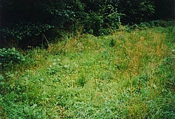 Jak jsme hledali B-24 aneb můžete nachodit kilometry...