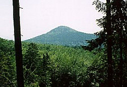 Jezevcův dubenec 2005