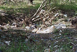 Pár fotek o mrcasení