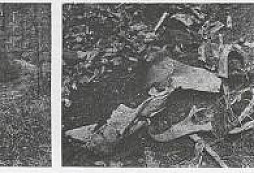 Pozůstatky letecké katastrofy u Bedřichova