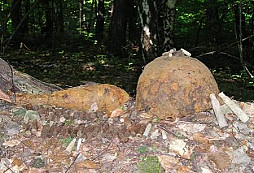 MG rostou pouze ve stromech