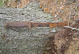 Nálezy od Milvina a Geina