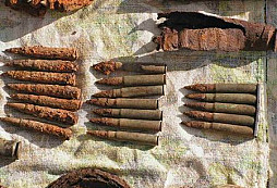 Nálezy od Tatra Plana