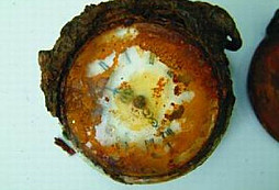 První hledání s XP a hned maximální radost