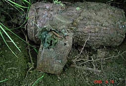 Reportáž z neděle