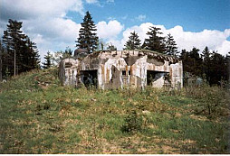 V Orlických horách