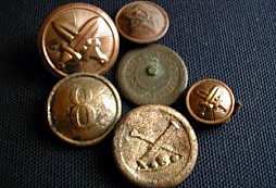 Úlovky z lesních cestiček