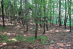 Malá sonda do nového prostoru