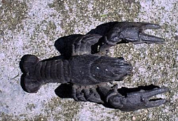 Něco málo ze skládky