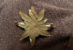 Kytička od LubošeII