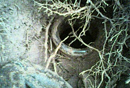 Výlet na Broumovsko