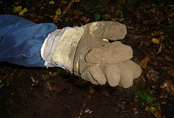 Nálezy Xfrantu a Galka