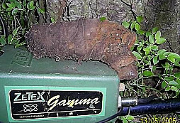 Nálezy ze 13.5. 2005 od Romela a Mildy