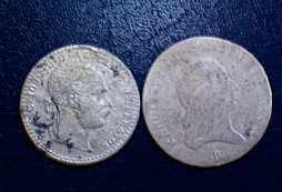 Stříbrńáčci polní