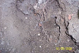 At žijí Wikingové!