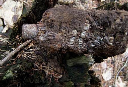 Nálezy od Macháněho