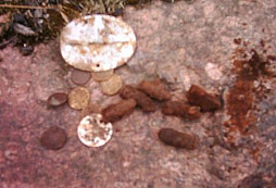 Krásný a slunečný pátek