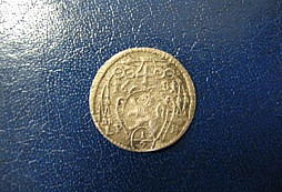 Pidi stříbrňáček