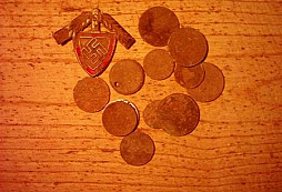 Čmuchačka v parku u Plzně