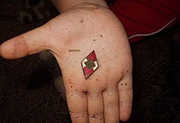 Nálezy z poslední doby