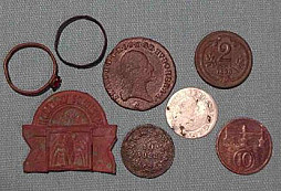 Stříbrňáček z vlastní zahrádky