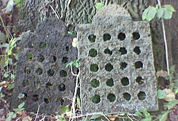 Nálezy z poslední doby