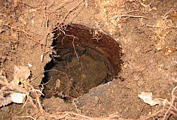 Troška nálezů a dárek