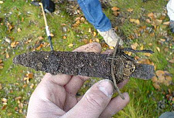 Nálezy od Rockyho II