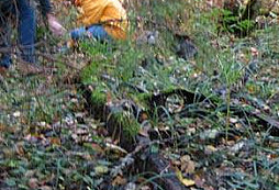 Rusko a technika III.