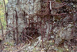 Nortfort (pro zimní večery…)