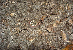 Pár nálezu z "podpřevisu"