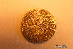 Pár letošních nálezů