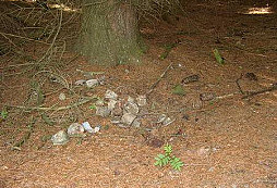 Nálezy z doby dřívější