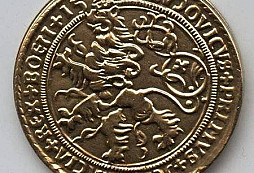 Mince na pokuk a na identifikaci