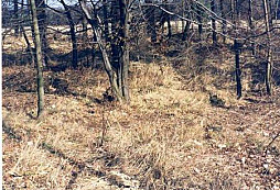 Něco ze staršího data