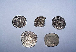 Několik stříbrňáčků z loňského podzimu