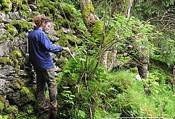 V Hlubokém šumavském lese