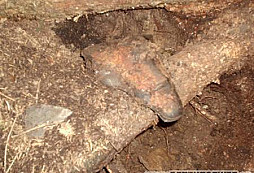 Tenkrát na západě