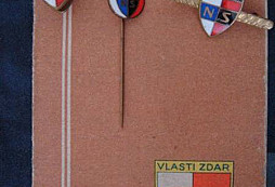 Rekonstrukce půdy přinesla své ovoce...