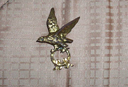 Středeční mrcásek aneb přišel jsem, viděl jsem, zvítězil jsem