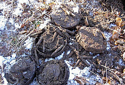 Odpoledne v ruském táboře