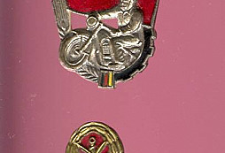 Prosba o pomoc s určením odznaků