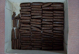 Něco málo z toho co roste v lesích