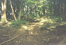 B-24J Liberator Volume I.