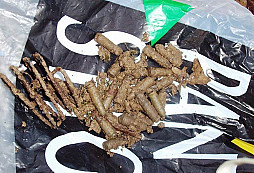 Slibný začátek sezóny