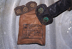 Ufo z lesa domů se nesa