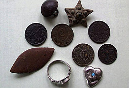 Trocha polní drobotiny