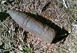 Nálezy z minulého roku