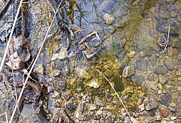 Čtvrtek 13.dubna (šťastná 13)