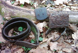 Hubený SS a reserva